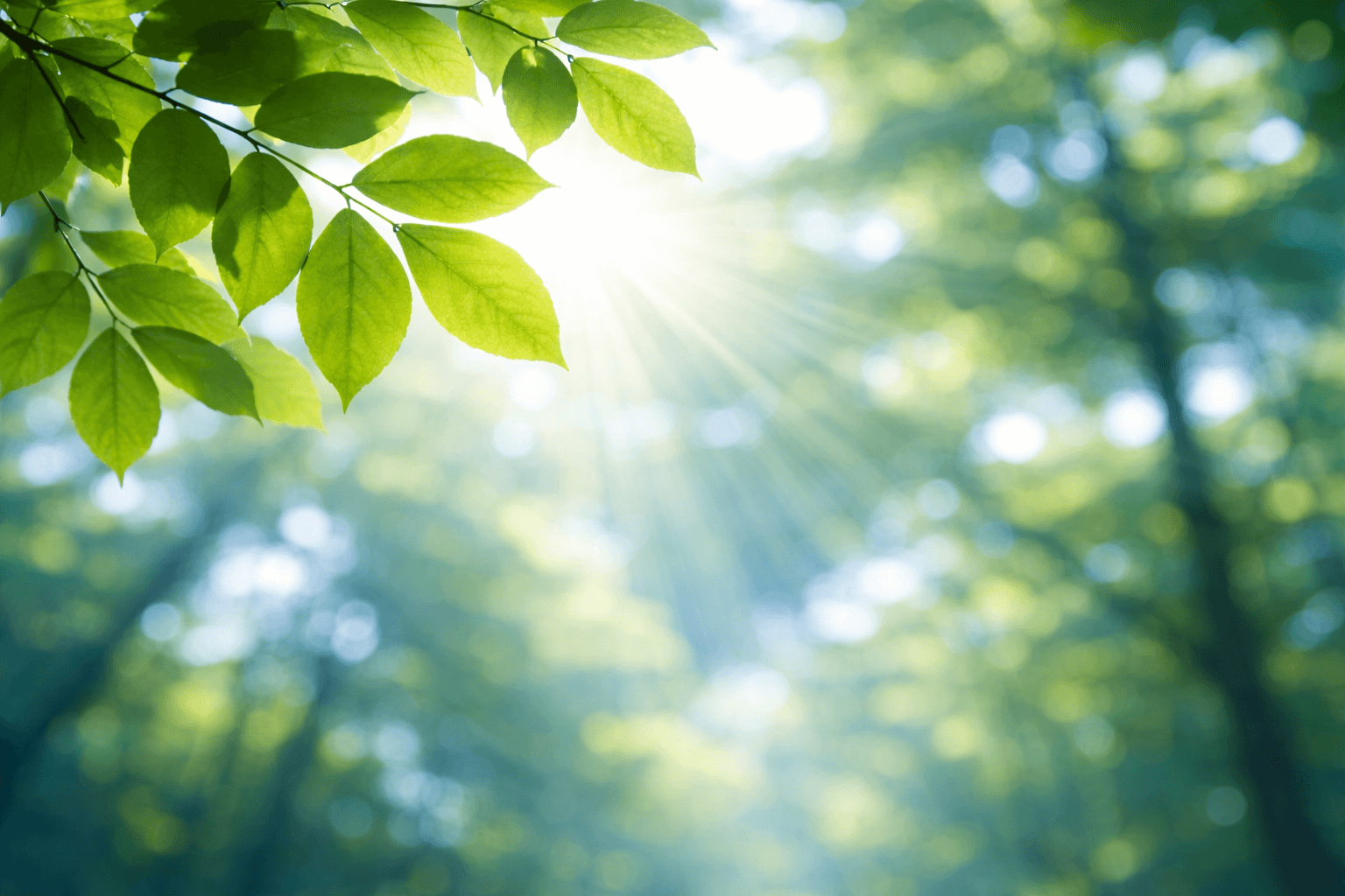 Generic background image